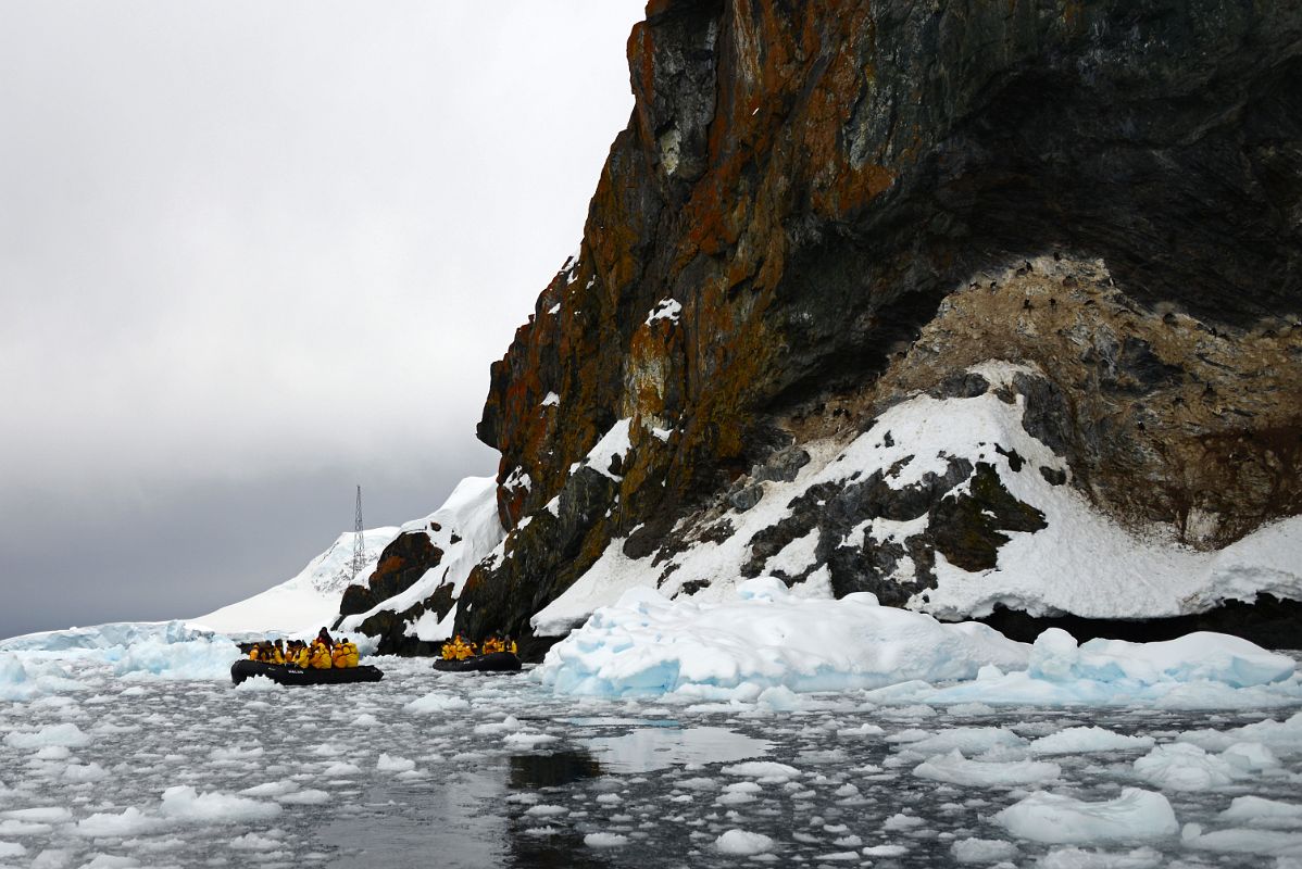 06A Zodiacs In Loose Ice In Paradise Harbour Below Lichen Covered Rock And Blue-Eyed Shag Nests On Quark Expeditions Antarctica Cruise